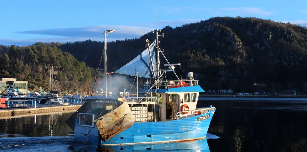 Rekebåten «Sienna» av Flekkefjord får god uttelling på rekefisket rundt Hidra.