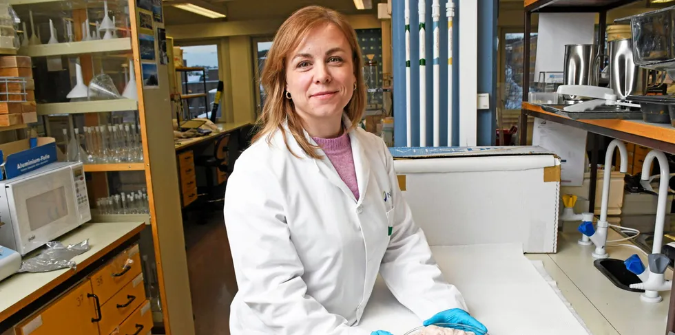 Forsker Birthe Vang på Nofimas laboratorium med en skål torskemelke.