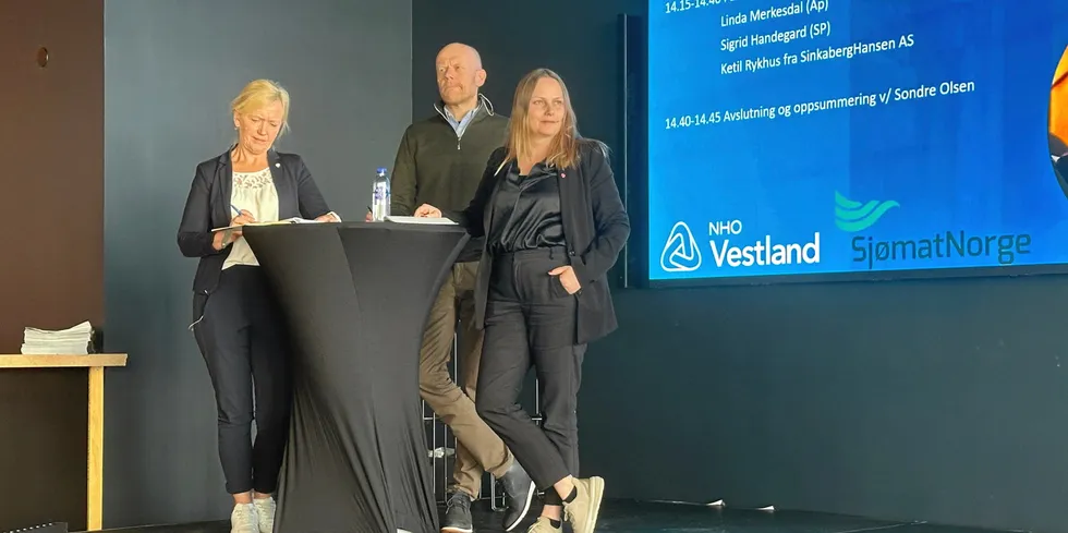 Sigrid Handeland (Sp), Ketil Rykhus (Sinkaberghansen) og Linda Merkesvik (Ap) deltok i debatt.