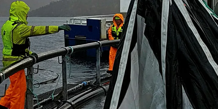 Selstad skal levere over 30 av disse luseskjørtene.