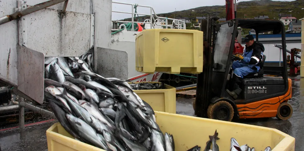 To ansatte skal ha unnlatt å føre sluttsedler på store mengder fisk ved Hermann Export sitt anlegg.