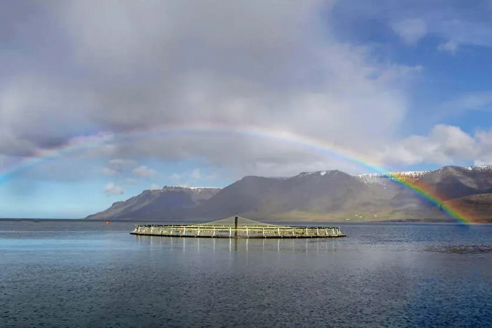 This recent effort to combat the parasite is part of a unprecedented infestation of sea lice at salmon farms in fjords located in western Iceland in recent weeks.