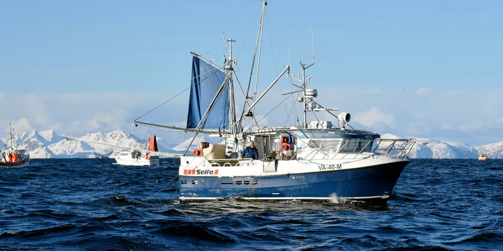 Her er juksabåten «Arctic» og skipper Terje Arnesen i sving på Lofothavet.