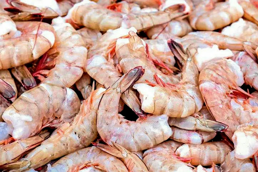 Farmed shrimp.