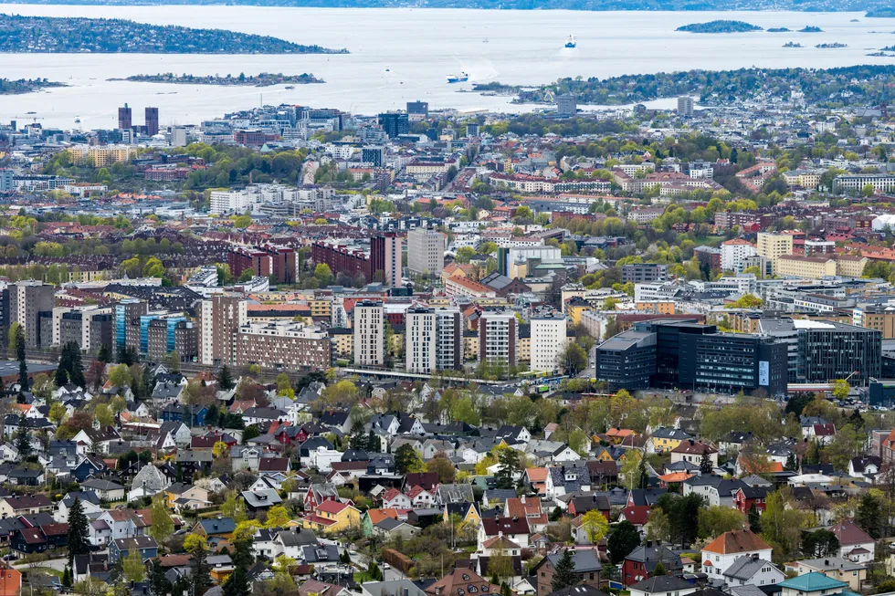 Oslo sett fra Grefsenkollen.