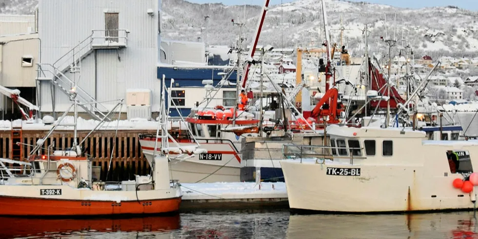 FERSKFISKORDNING: Skjervøy i Nord-Troms er ei av fiskerhavnene som har hatt økte landinger av flere fiskeslag på grunn av ferskfiskordninga.