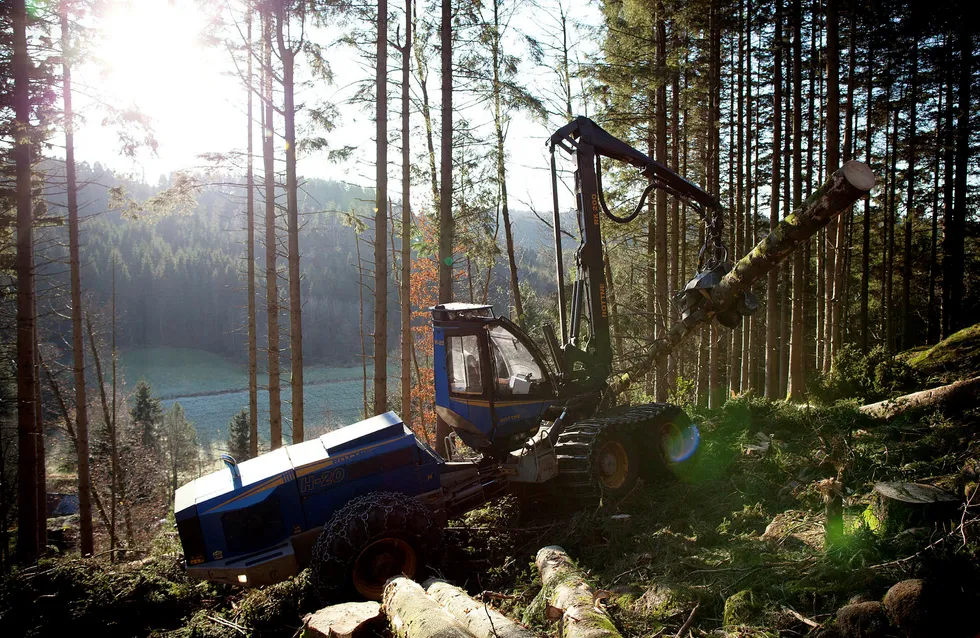 09.11.2011. T.Skår er maskinfører i skogsbedriften i Lyngdal. Foto: Tomm W. Christiansen --- Foto: Tomm W. Christiansen