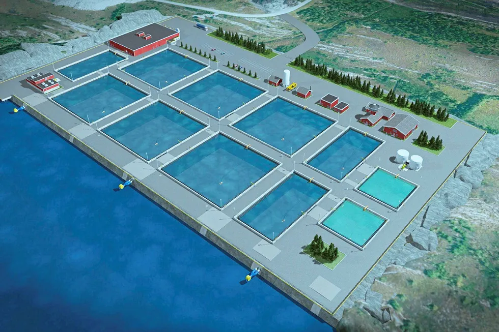 An illustration of Arctic Seafarm's plans for its land-based facility