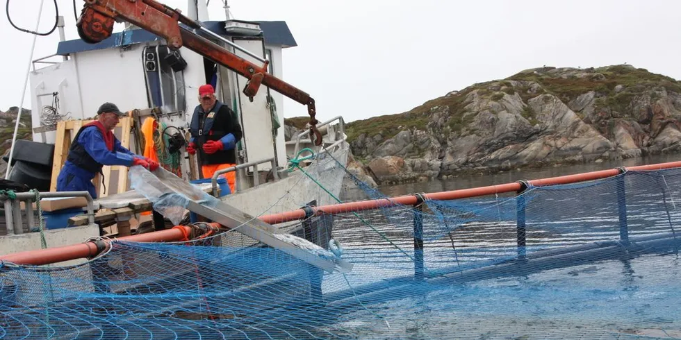 Alt tyder nemlig på at økt bruk av levendelagring av villfisk er fornuftig for forbrukerne, industrien og flåten. Illustrasjonsfoto: Terje Jensen