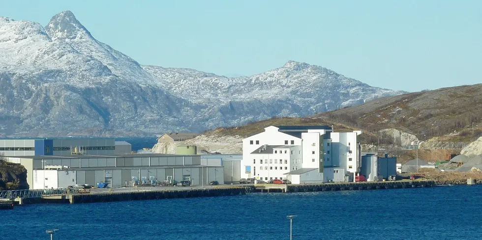 Salten Fiskeindustri AS er konkurs. Selskapet ble fusjonert med Bodø Fiskemottak AS (bygget til høyre) i 2019.