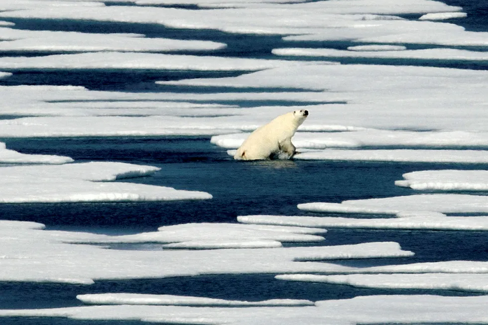 Vintrene i Arktis har stadig blitt varmere de siste årene. Foto: David Goldman/AP photo/NTB Scanpix