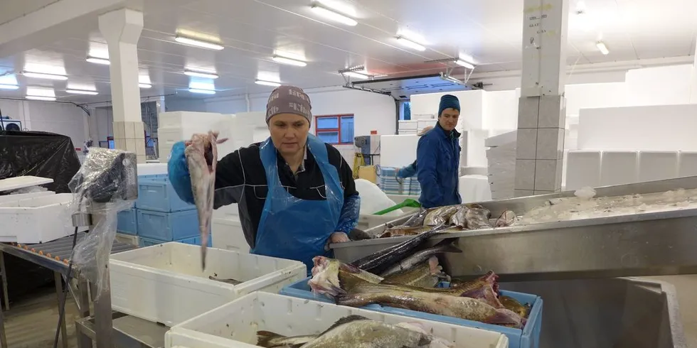 Nina Lilletveit på fiskemottaket Nordhordland Fisk sammen med fisker Kjetil Kalgraff. Foto: Ole Erik Klokeide.