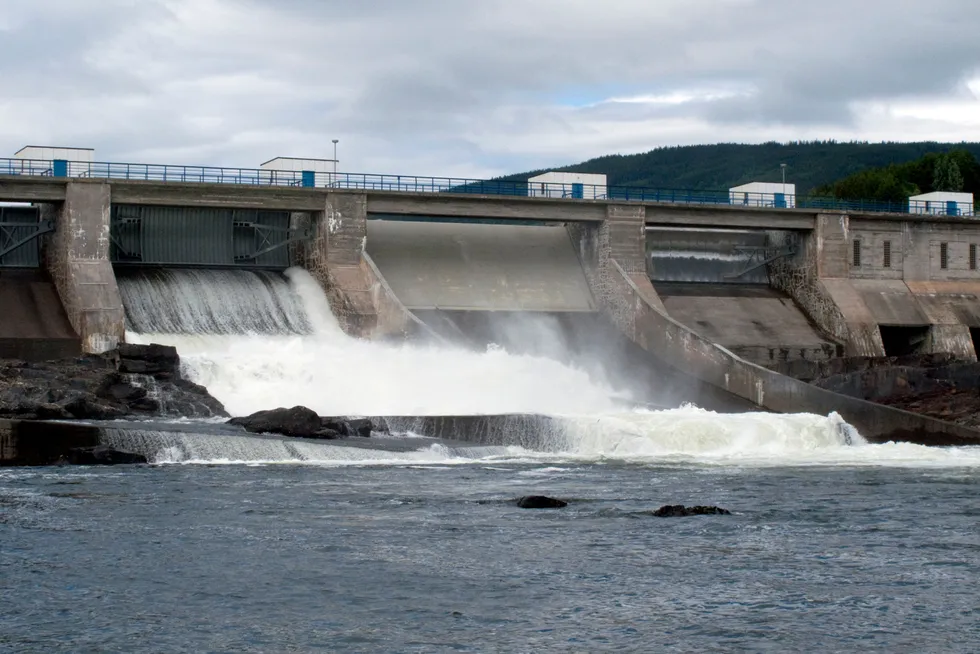 Denne saken handler om forståelsen av regler i den norske kontrollforskriften fra 1993, ikke grensehandelsforordningen, svarer vassdrag- og energidirektør Kjetil Lund til Jan Steinholts innlegg i DN.