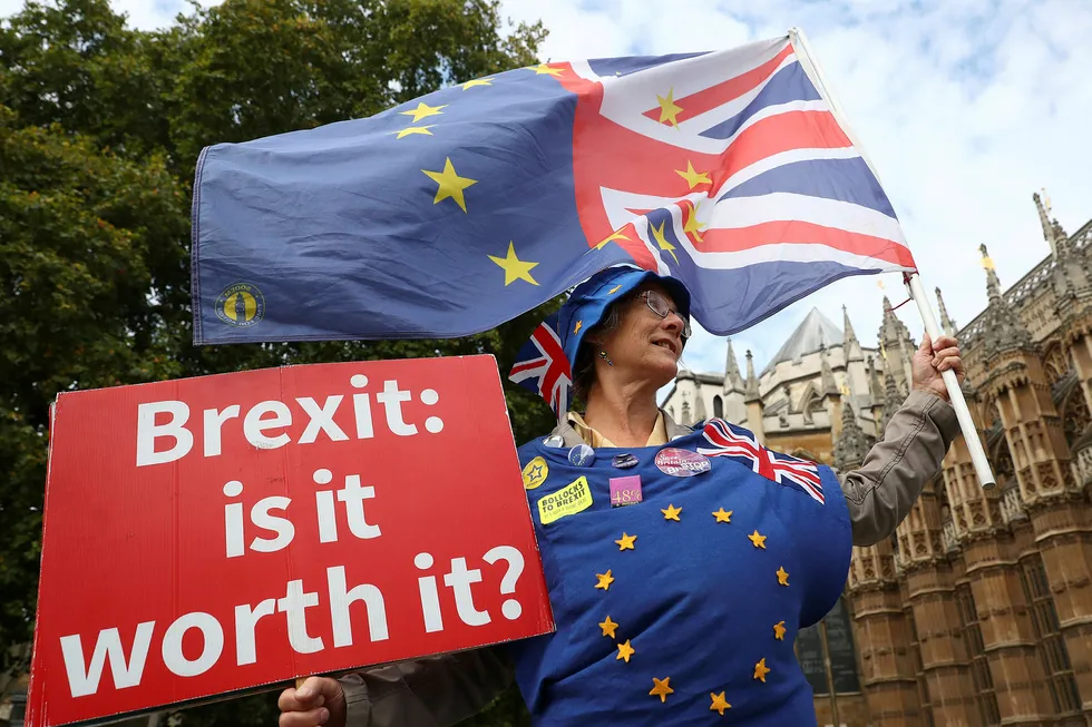 En brexit-motstander demonstrerer utenfor parlamentet i London onsdag.