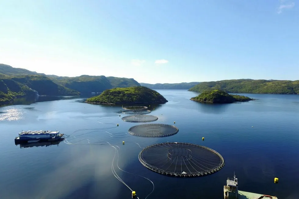 One of Cooke's Cold Ocean salmon cage sites in Newfoundland and Labrador, Canada.
