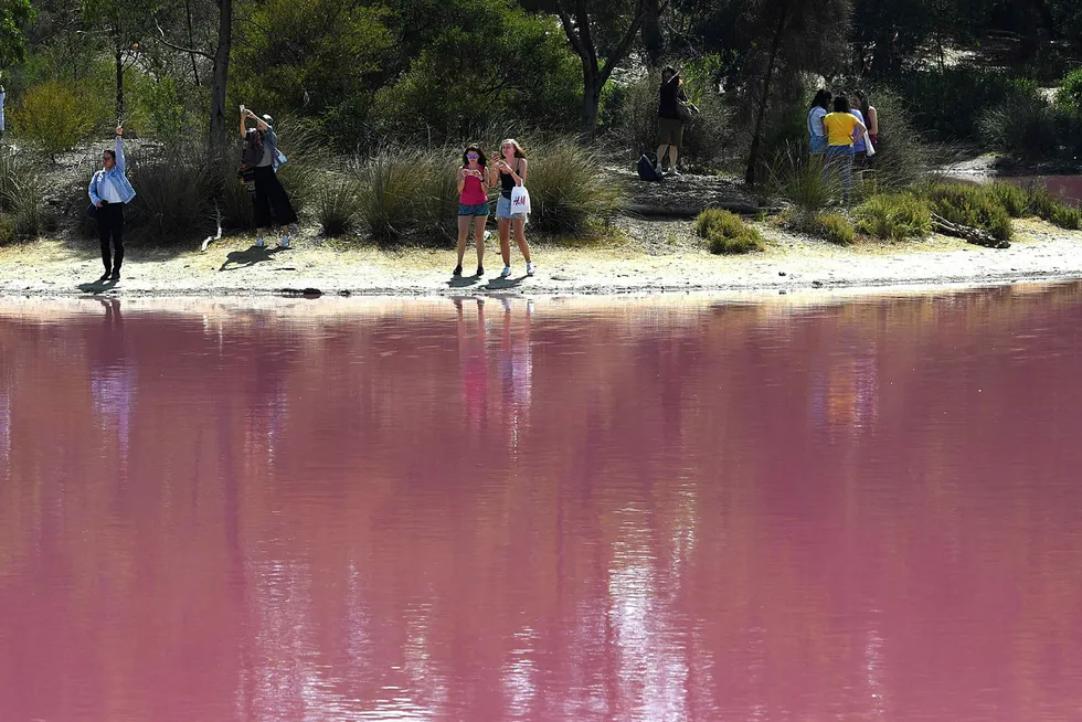 Australia opplever rekordhøye temperaturer. På bildet står besøkende ved en innsjø ved Melbourne som har blitt rosa som følge av høye saltnivåer på grunn av heten som igjen gir oppblomstring av en spesiell type alge som produserer et rødaktig pigment.