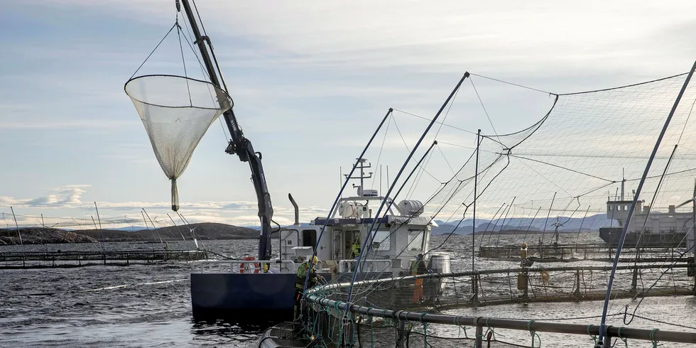 I det norske ordskiftet er det bare matproduksjon i sjø som beslaglegger areal. Landbruk holder det i hevd, skriver Høyres Tom-Christer Nilsen i denne kronikken, hvor han ser nærmere på hvor ulikt man omtaler disse to næringene.