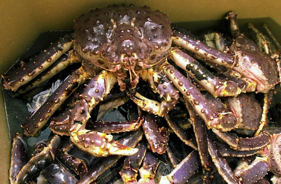 The Russian Fishing Company expands into crab business