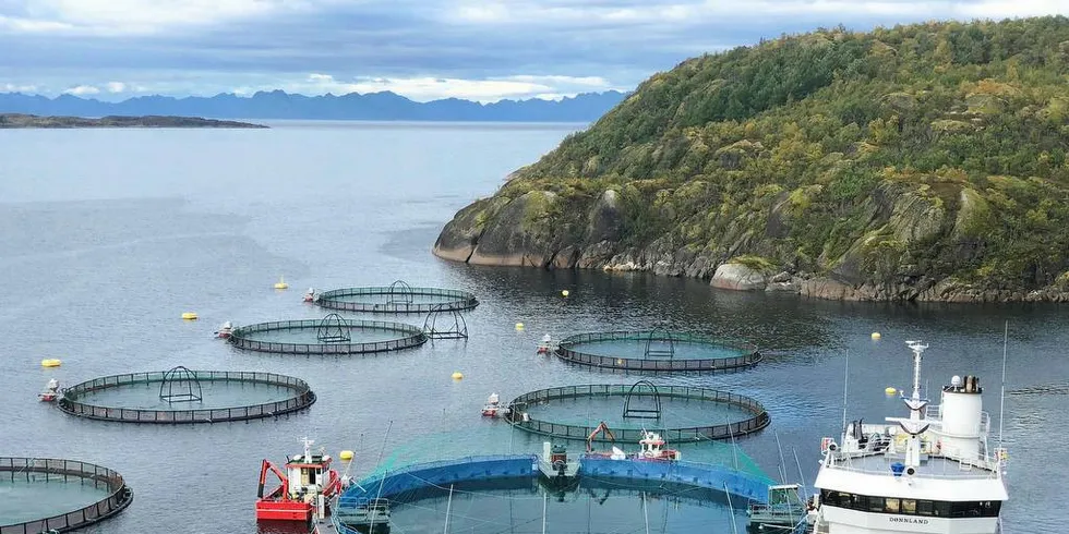 Den lukkede merden ligger i Horsvågen i Nordland.Foto: Pressefoto