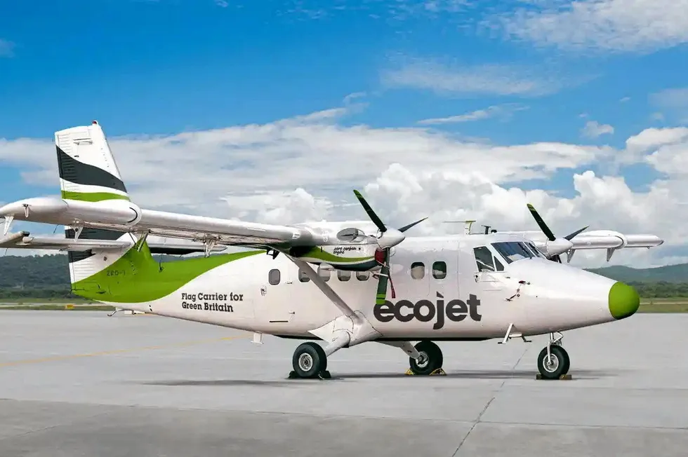 Ecojet's 19-seater aircraft.