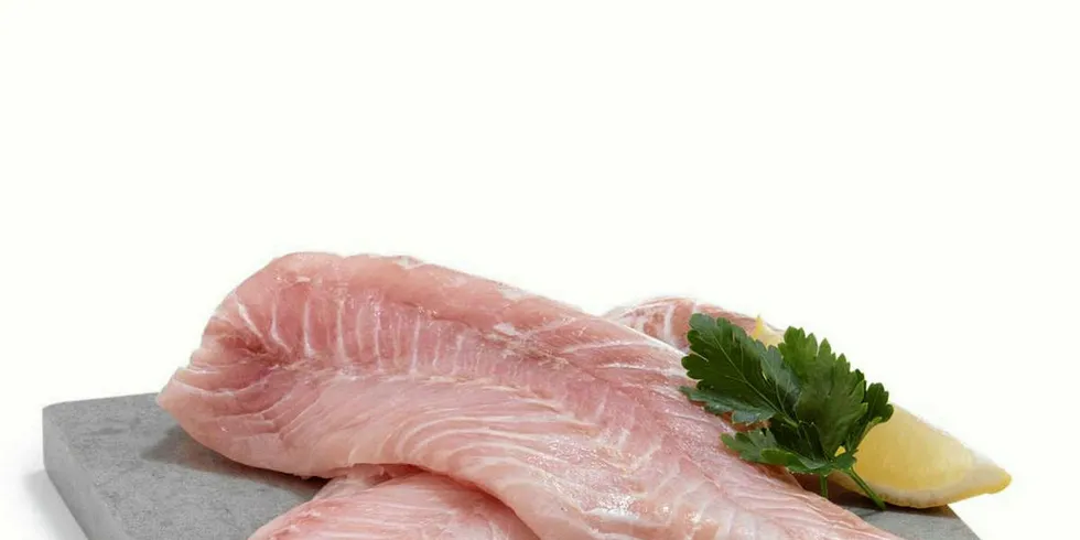 Fresh Nile perch fillets.