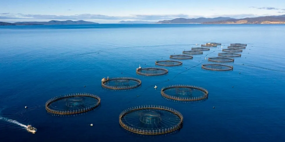 A salmon farm operated by Tassal. Cooke is slated to be the new owner of the group.