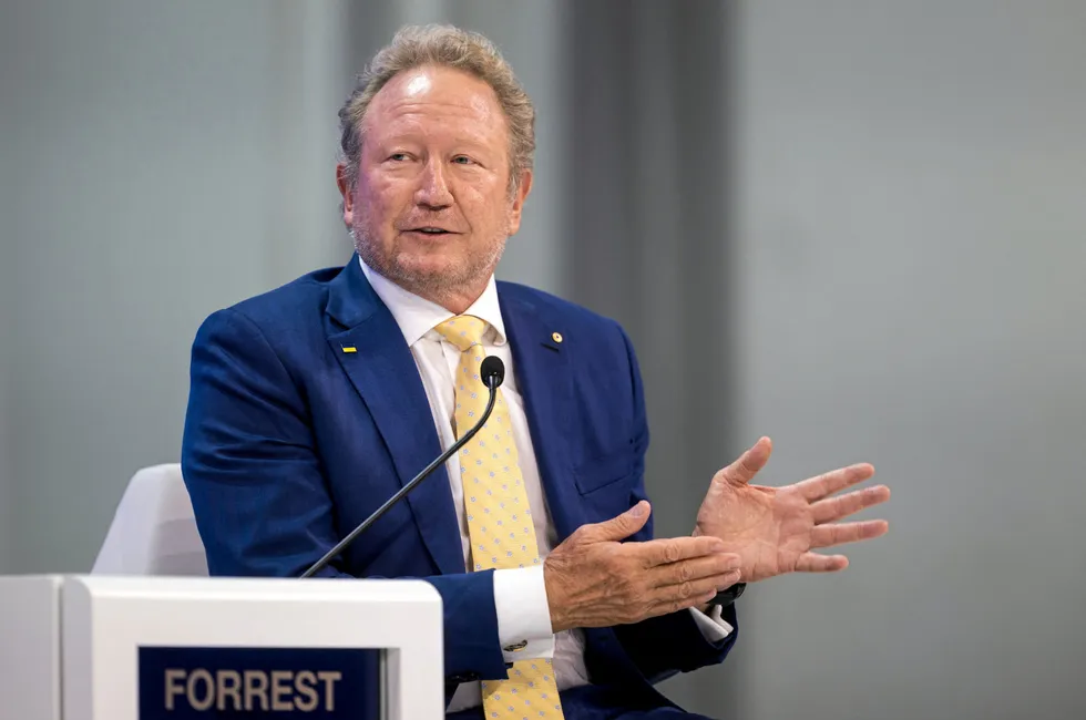 Fortescue founder and executive chairman, Andrew Forrest, speaking at the World Economic Forum (WEF) annual meeting in Davos, Switzerland, in January.