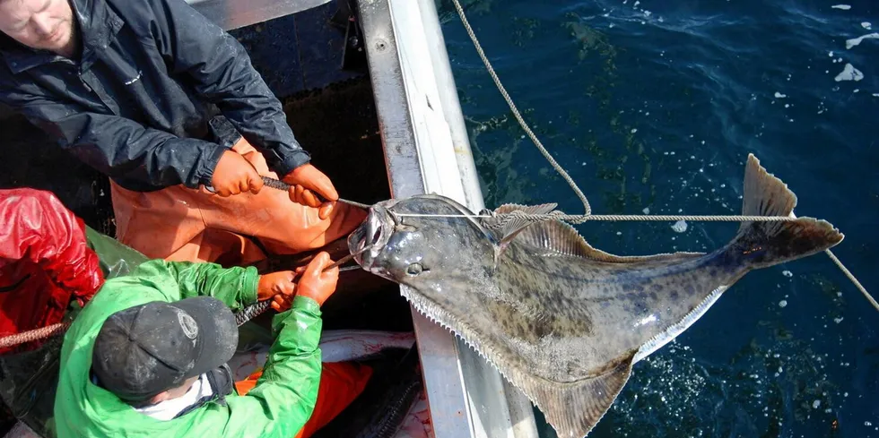 Alaska Longline Fishermen’s Association has long advocated for abundance-based management for halibut. The Groundfish Forum contends a bycatch measure recently implemented by NOAA does not solve challenges for the fishery.