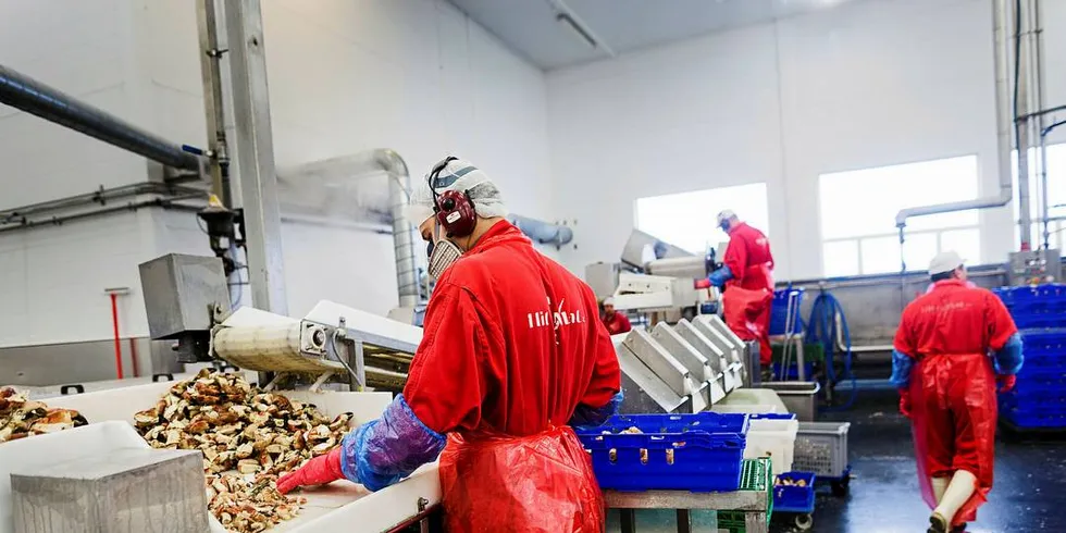 GOD SESONG: Fisket varierer geografisk, men nå begynner kvaliteten å jevne seg ut hos HitraMat. De siste to ukene har rogna kommet, slik at de kan produsere helkokt krabbe.Foto: Per Thrana, DN