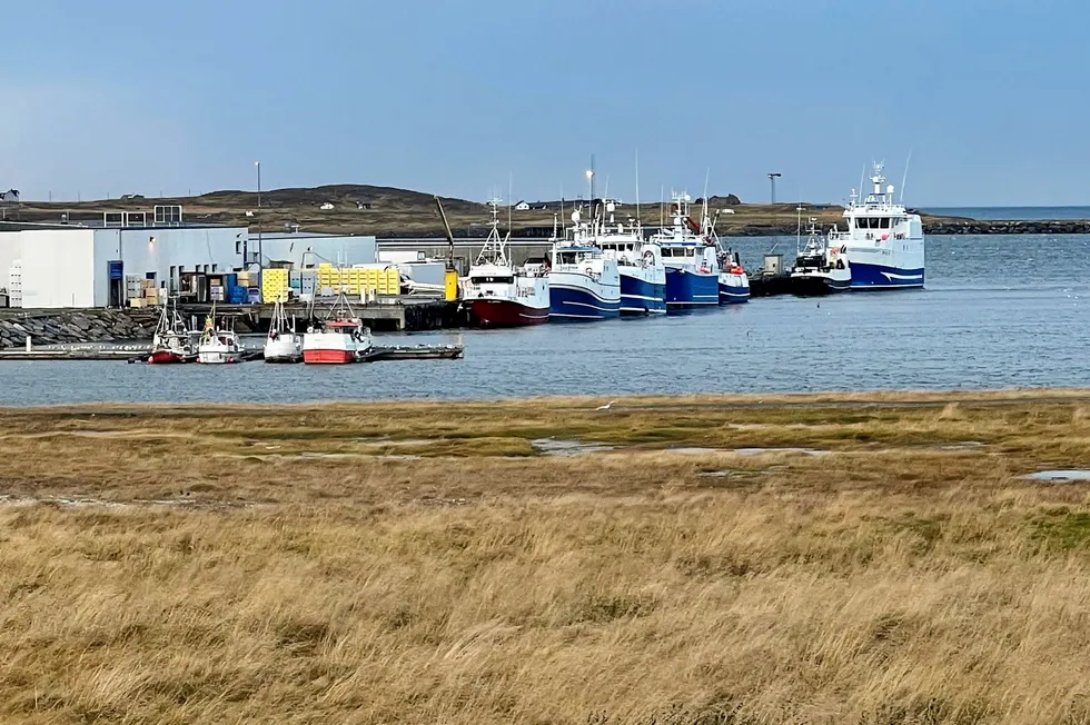 Hvitfisk- og skalldyrprodusent Arctic Catch på Svartnes utenfor Vardø.