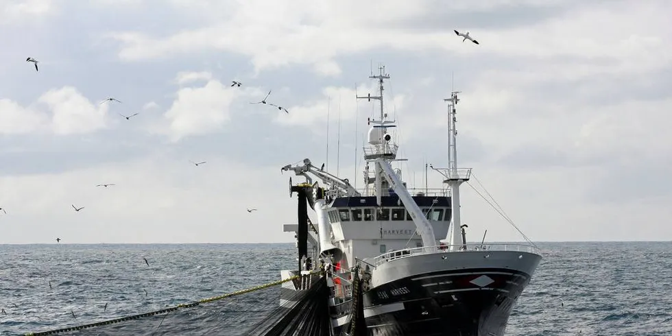 Målet var å utvikle en observasjons-simulator for å øke påliteligheten rundt bestandsovervåkingen av pelagiske arter i Norskehavet.Foto: Rune Kvamme