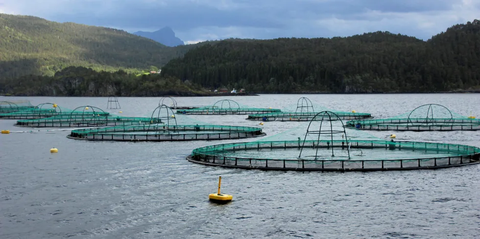 Steinvik Fiskefarm sin lokalitet Kalvelandet utenfor Florø.