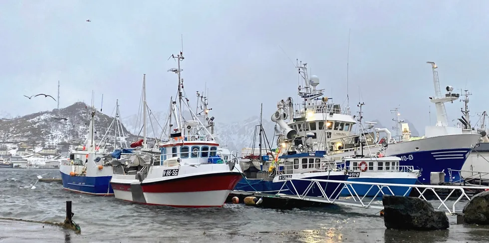 På Myre er det startet et nytt fiskeriselskap. Her fra Myre havn i Vesterålen.