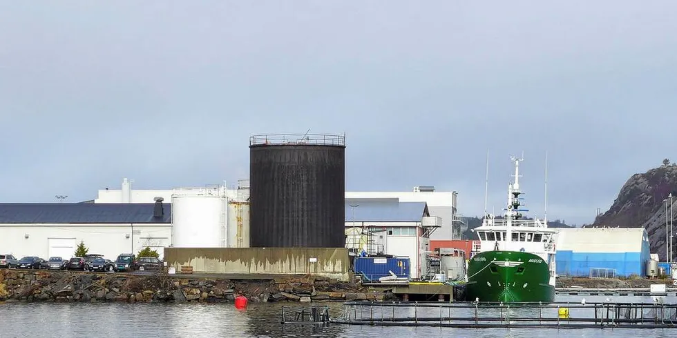 FORTSETTER: Sekkingstad holder til på dette industriområdet på Skaganeset i Sund vest for Bergen.Foto: OLE ERIK KLOKEIDE