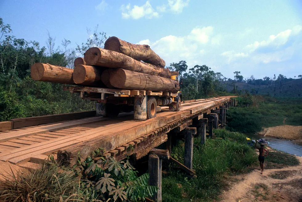 Transport av tømmestokker i Amazonas. Norges pengebidrag til å redde regnskogen i Amazonas ser ut til å bli kraftig redusert for 2016. Foto: Brazil Photos/LightRocket via Getty Images