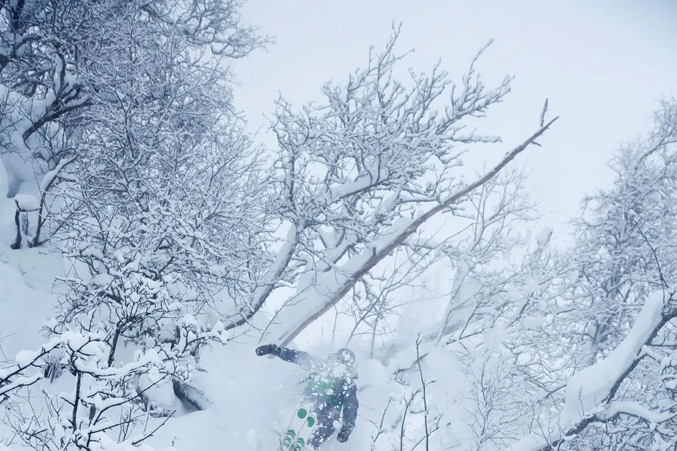 Eirik Øvereeide hopper ut mellom trærne for å få luft under skiene før han lander i dypsnøen. Foto: Thomas Kleiven