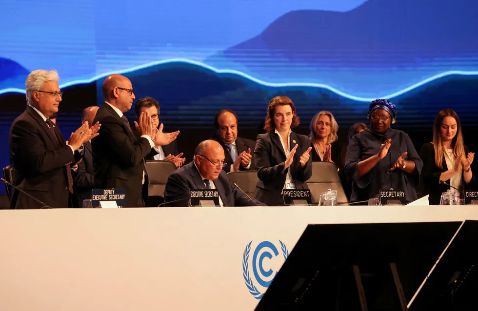 Relief: Egyptian President Sameh Shoukry addresses the closing plenary at the COP27 climate summit in the Red Sea resort of Sharm el-Sheikh.