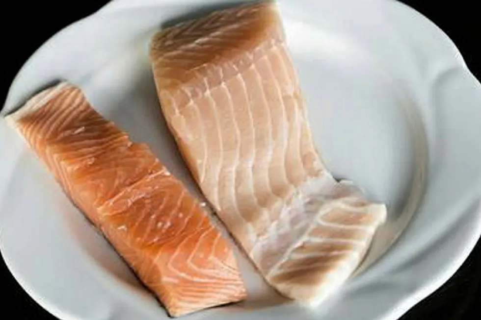 Falsely-dated salmon batch.