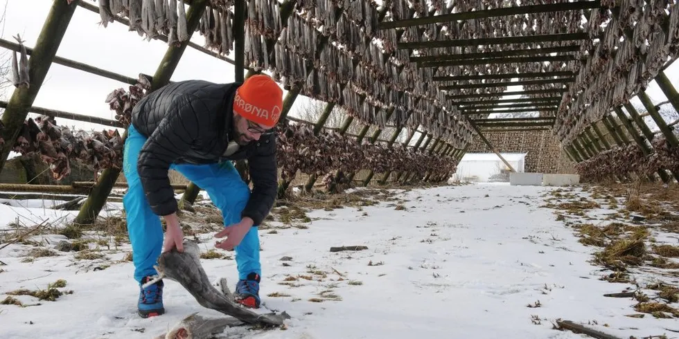 Jørn-Åge Stikholmen, daglig leder ved Berg Seafood sjekker fiskehjellene på Svinøya i Svolvær. Alle foto: Kjersti Kvile