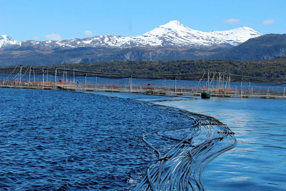Magallanes salmon farming, Chile.