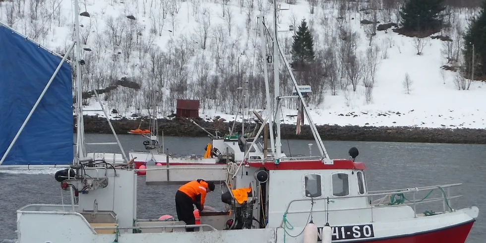 - Uten fiske i Lofoten, blir kystidentiteten og infrastrukturen påvirket. Bare det at man ikke har lukten av tørrfisk lenger påvirker, sier forsker Anna Lena Bercht. Dette bildet tok hun i Vestfjorden i mars i fjor. Alle foto: Anna Lena Bercht