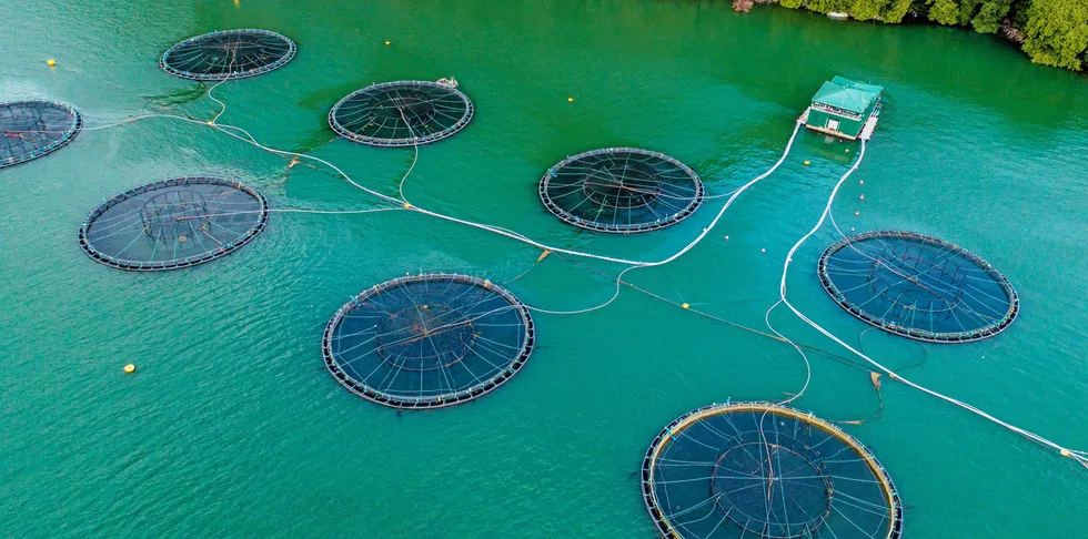 Mowi, Grieg Seafood og Cermaq får medhold av retten i Canada. Bildet viser Mowi sitt anlegg i British Columbia, Canada.