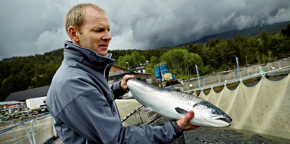 Lusesituasjonen i Hardanger har vært problemområdet i alle år. Departementet valgte å ikke følge det faglige rådet om å ta ned produksjonen.