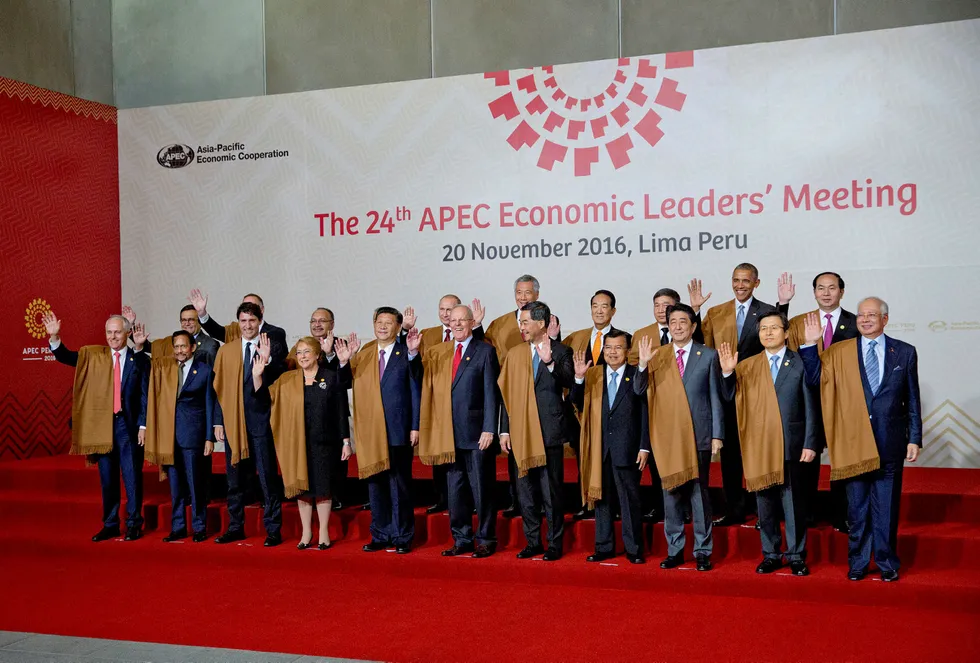 Lederne fra Apec-landene (Asia Pacific Economic Cooperation) lover å fortsatt jobbe for en frihandelsavtale. Foto: Pablo Martinez Monsivais/AP/NTB scanpix
