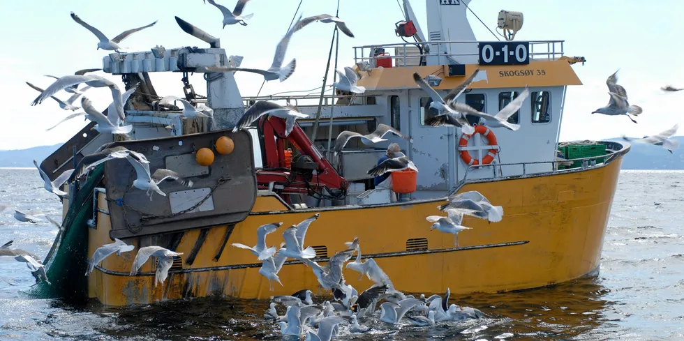 Kystnære områder i sør står i kontakt med Nordsjøen. Når det går nedover med torskebestanden i Nordsjøen, får det konsekvenser for torskefisket i Ytre Oslofjord, skriver havforskningsdirektør Sissel Rogne. Bildet er fra Oslofjorden