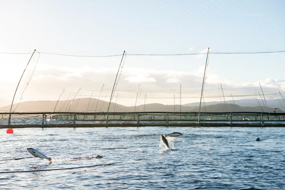 NCS er gasellebedrift fra Finnsnes. De leverer tjenester til havbruksnæringen, blant annet Salmars oppdrettsanlegg Skårliodden nord på Senja i Troms.