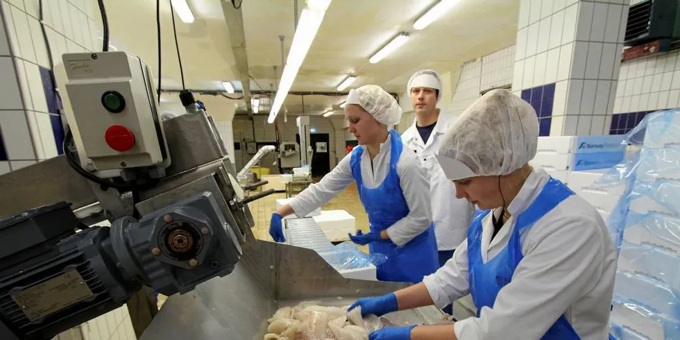 NORWAY SEAFOODS: Det er forståelig nok at prisen er lav fordi fisken oftest blir til dobbeltfrosne produkt i de laveste prisklassene, skriver Steinar Eliassen.Arkivfoto: Bjørn Tore Forberg