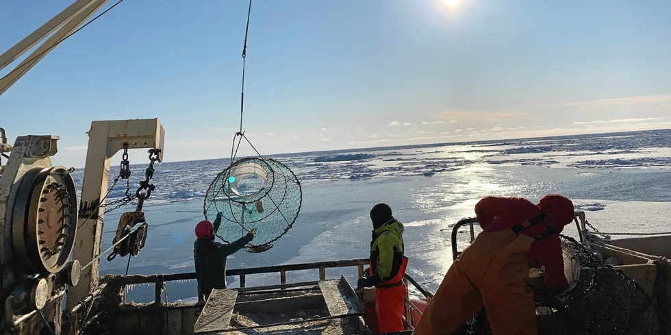 Her er det snøkrabbefiske på «Arctic Opilio» i Barentshavet tidligere i år.