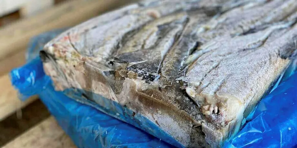 A frozen block of headless & gutted (H&G) Russian pollock from St. Petersburg-based supplier Konta Fish.