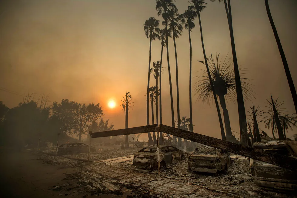 Mange steder i verden har vært rammet av hetebølger og voldsomme skogbranner i sommer. Bildet er fra skogbrannen i Ventura i California. Foto: Noah Berger/AP/NTB Scanpix